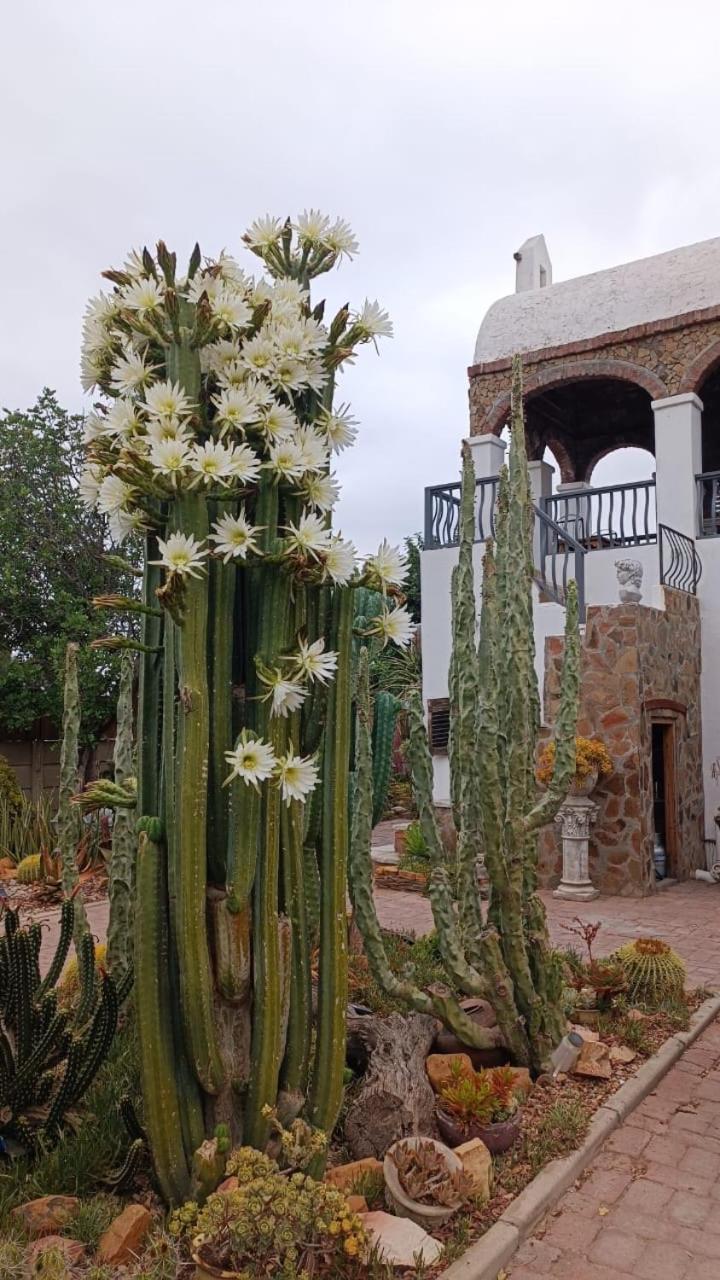 Villa Contessa Beaufort West Exterior foto